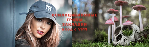 ALPHA PVP Аркадак