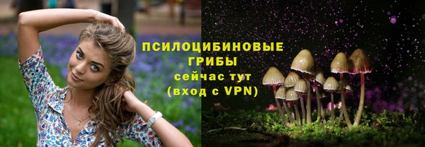 герыч Арсеньев