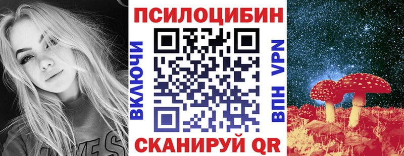 Псилоцибиновые грибы Psilocybine cubensis  Орлов 